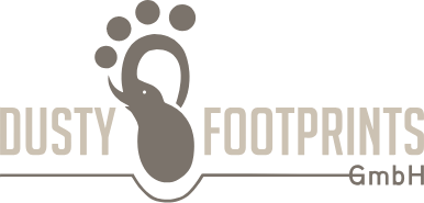 Dusty Footprints